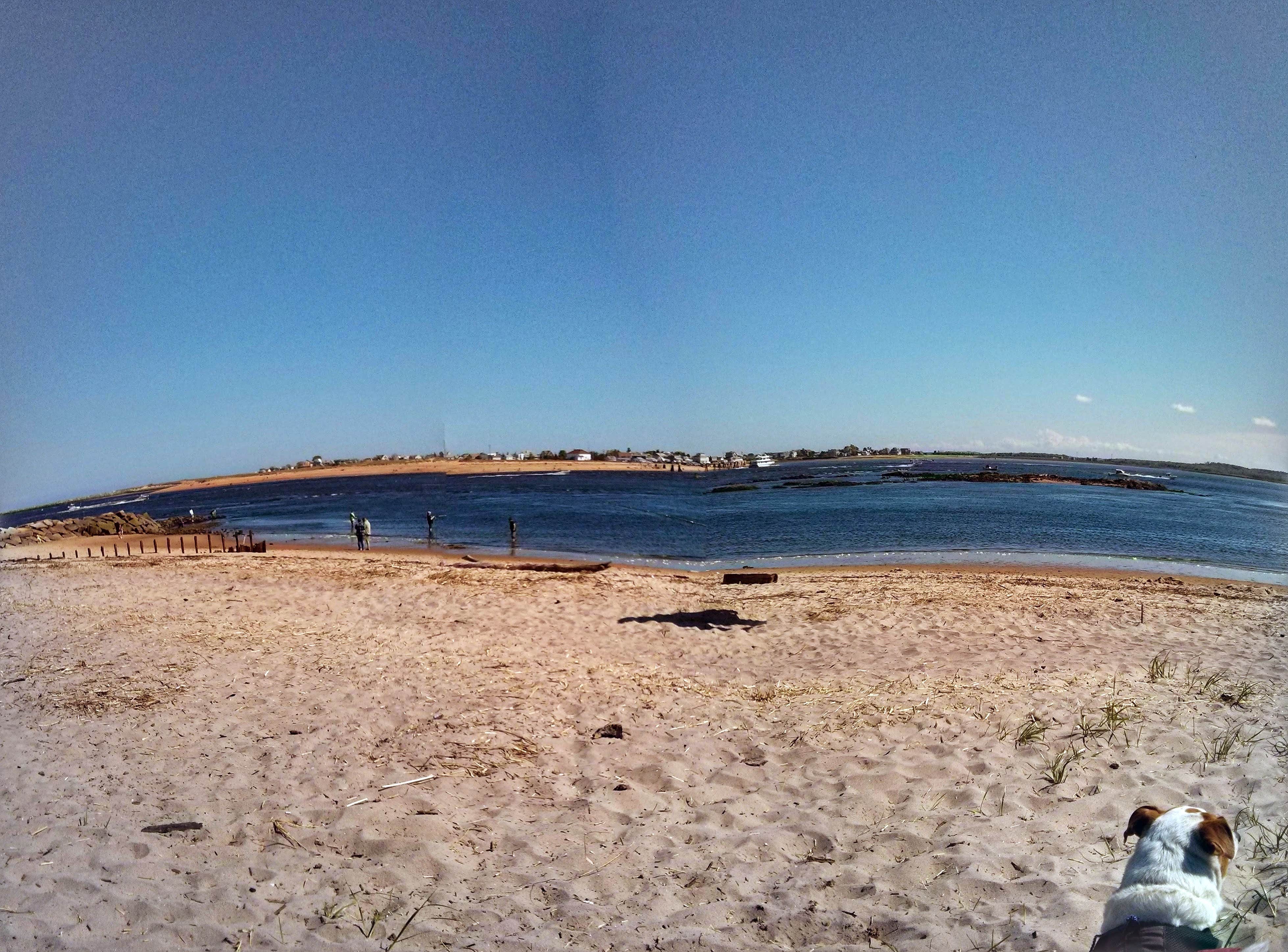 Camper submitted image from Salisbury Beach State Reservation - 4