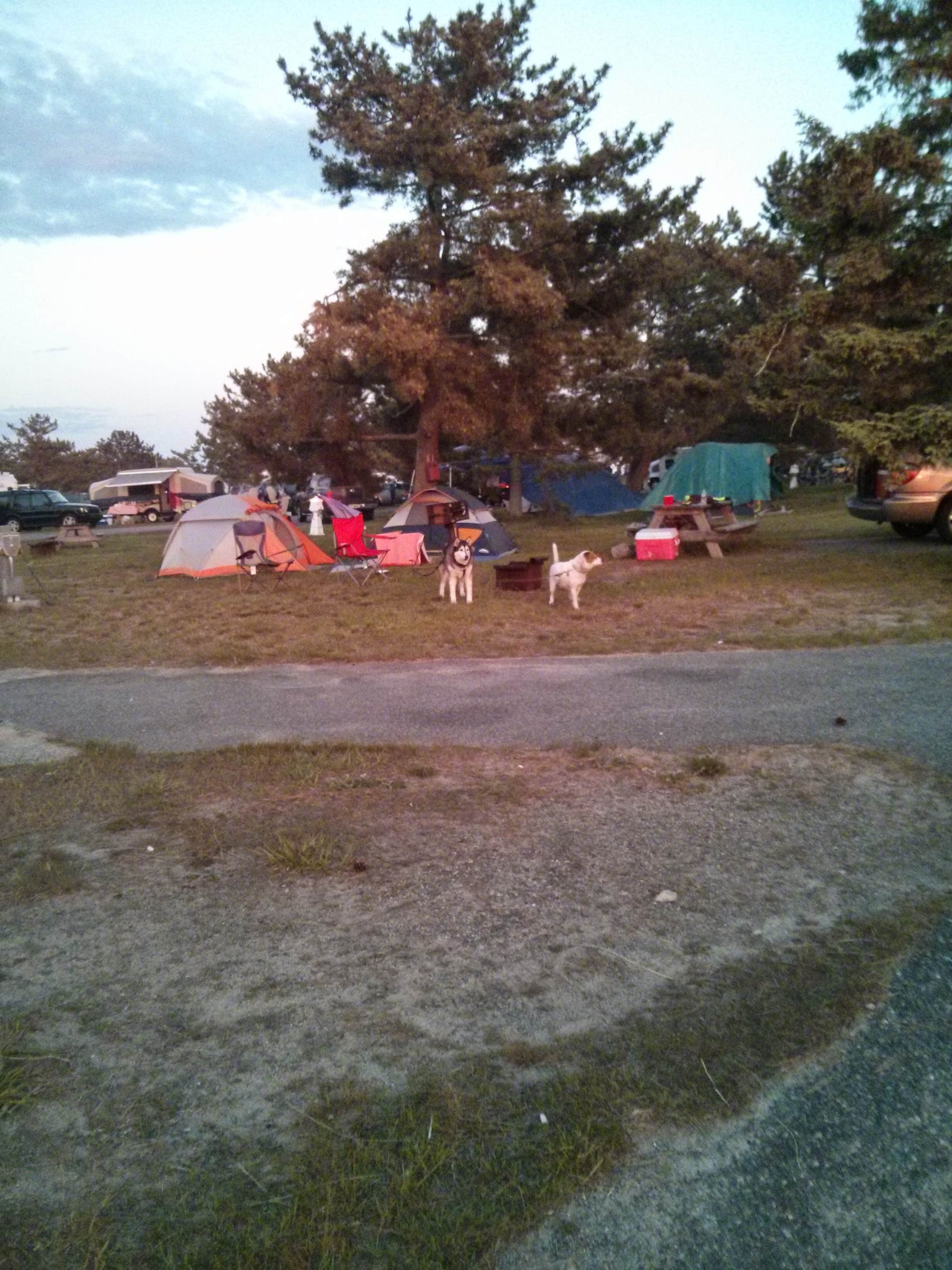Susanne V.'s photo at Salisbury Beach State Reservation near Nahant, MA