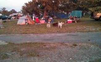 Susanne V.'s photo at Salisbury Beach State Reservation near Groveland, MA