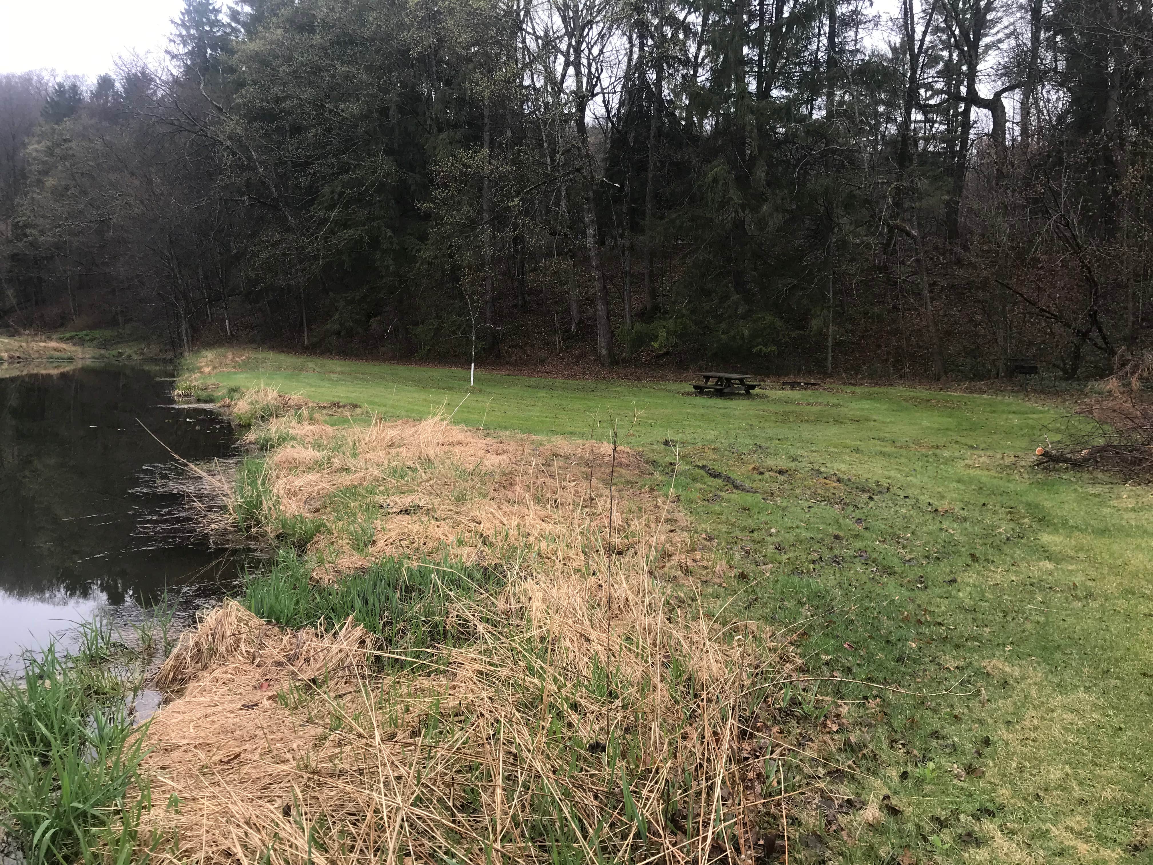 Camper-submitted photo at Esofea/Rentz Memorial Park near Newton, WI