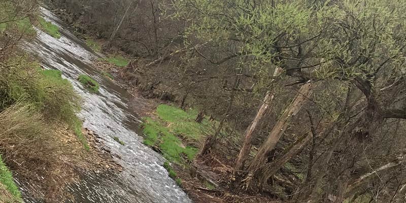 Camper submitted image from Esofea/Rentz Memorial Park