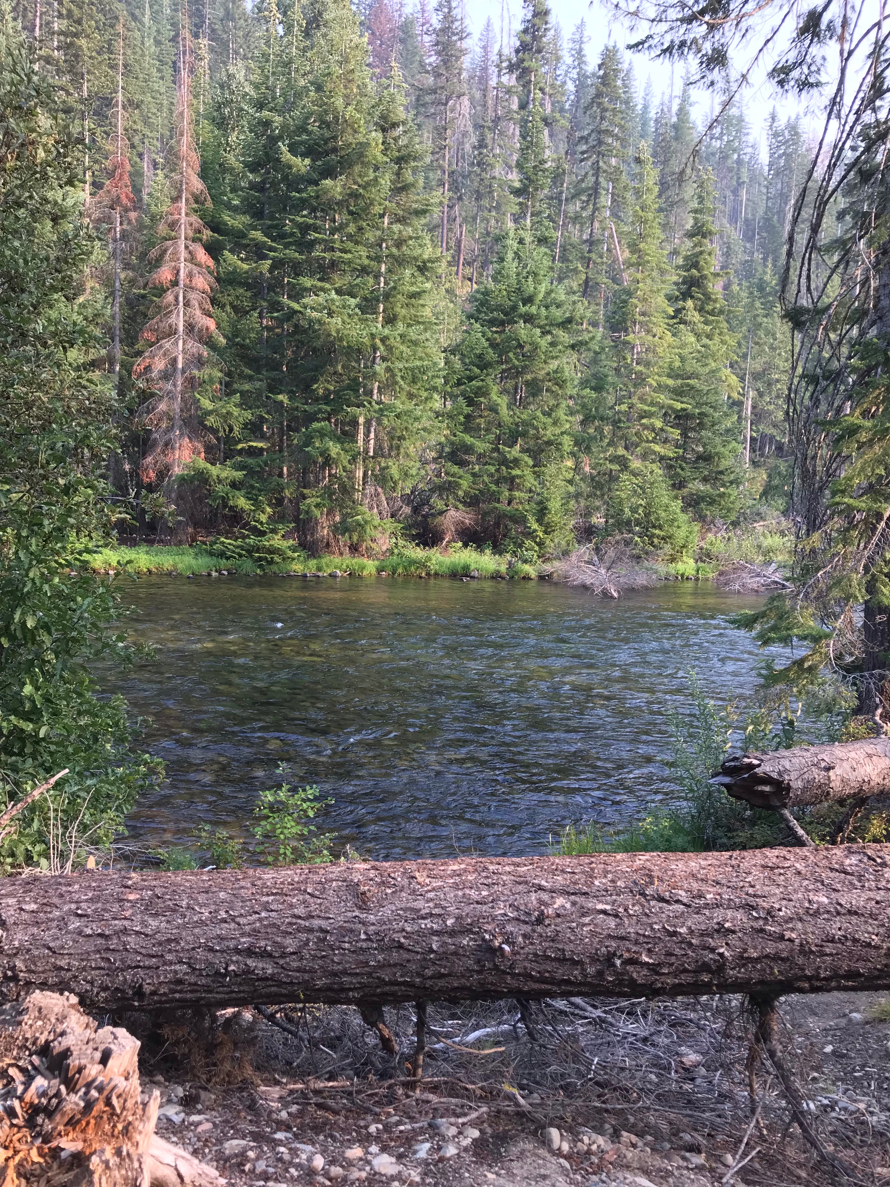 Camper submitted image from Soda Springs - 3