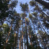 Review photo of Watkins Glen State Park Campground by Stacia R., April 26, 2019