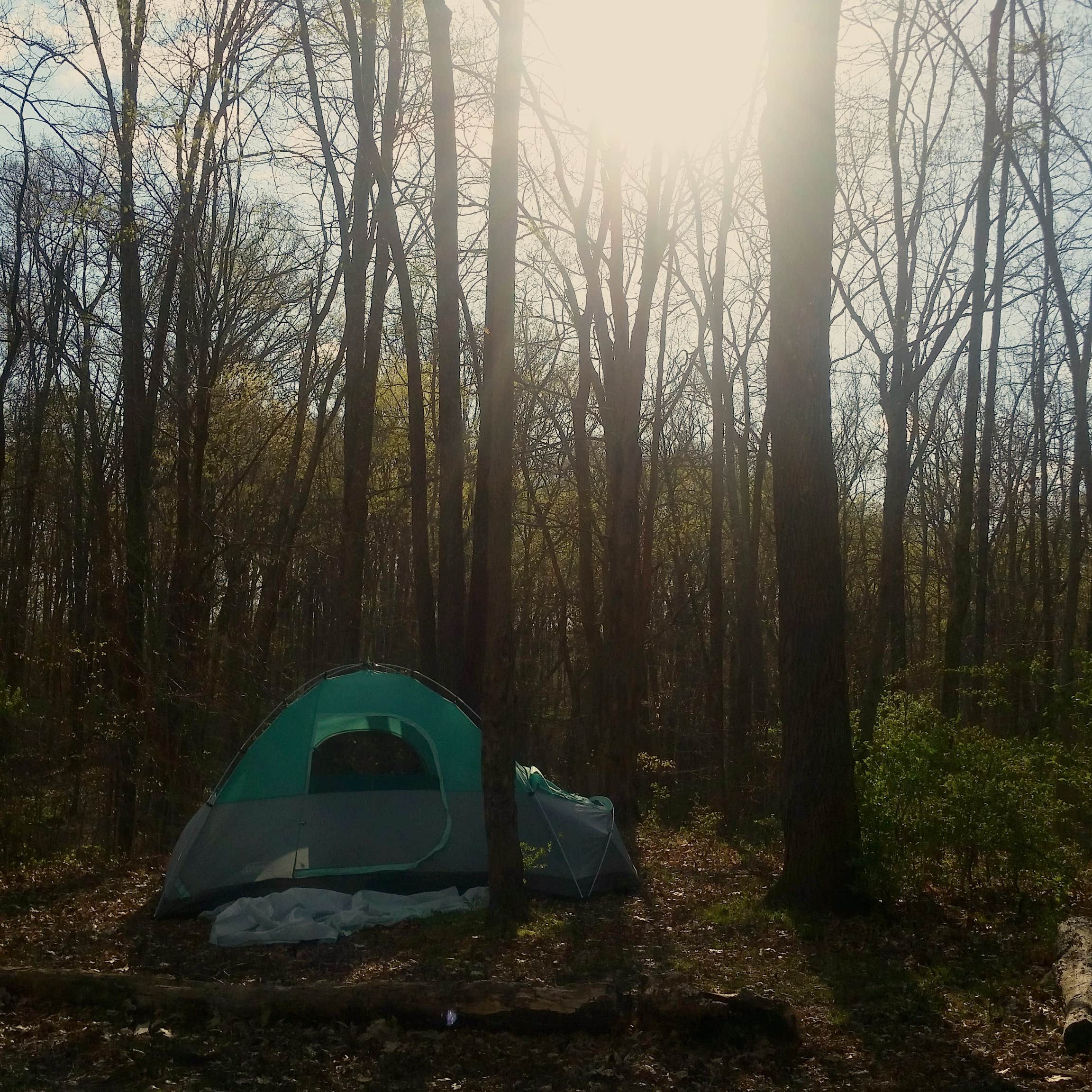 Lauren  B.'s photo at East Fork State Park Campground near Morning View, KY