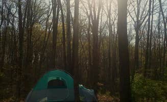 Lauren B.'s photo at East Fork State Park Campground near Peebles, OH