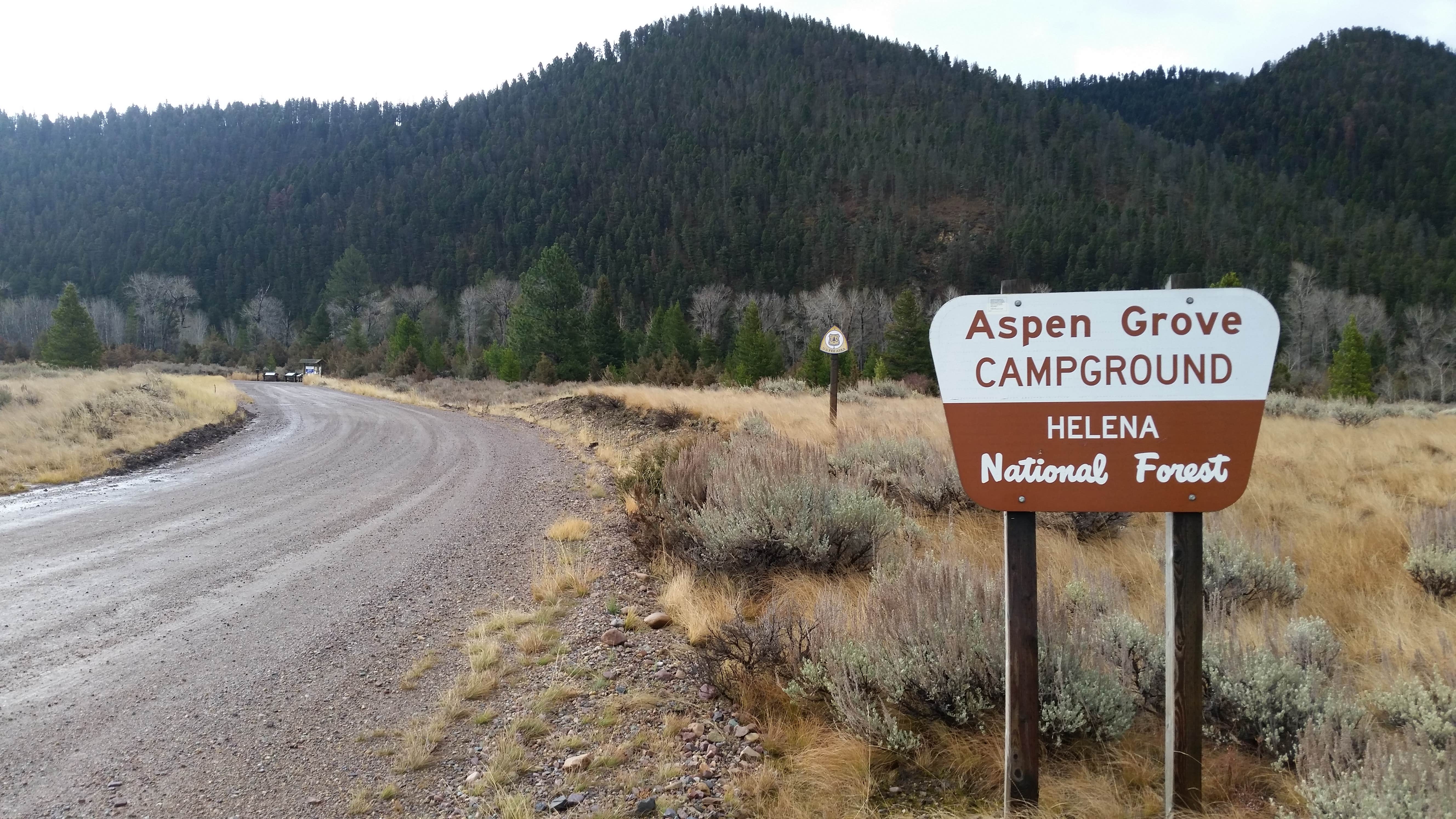 Camper submitted image from Aspen Grove Campground - 2