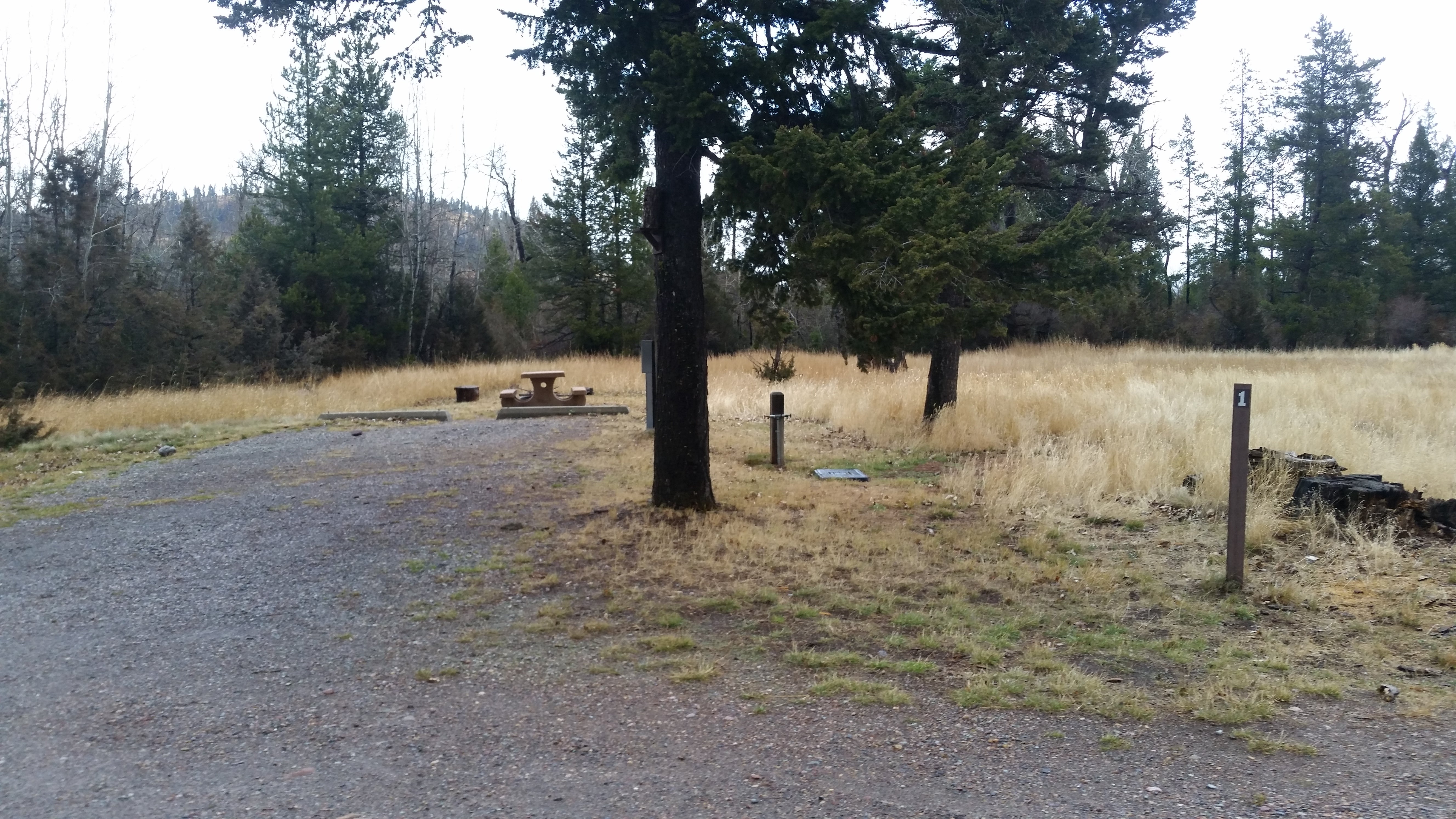 Camper submitted image from Aspen Grove Campground - 3
