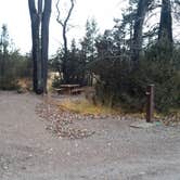 Review photo of Aspen Grove Campground by Dexter I., April 26, 2019