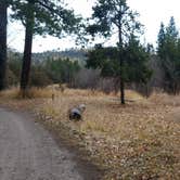 Review photo of Aspen Grove Campground by Dexter I., April 26, 2019