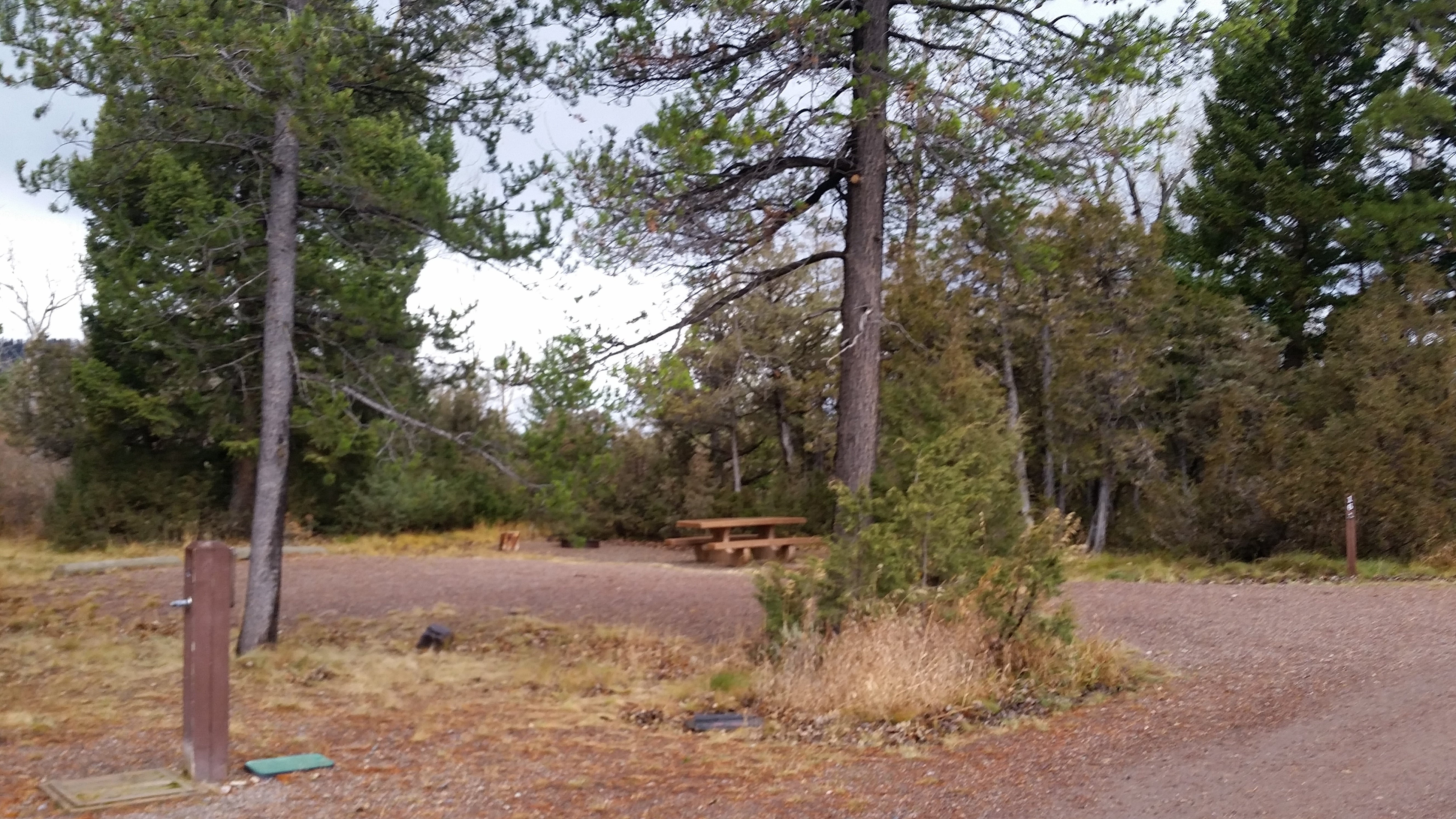 Camper submitted image from Aspen Grove Campground - 1