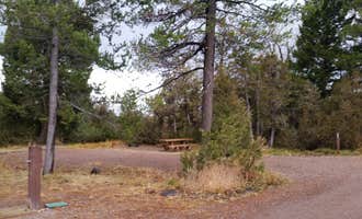 Camping near Indian Meadows Trailhead: Aspen Grove Campground, Lincoln, Montana