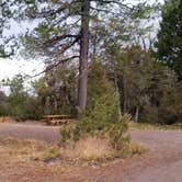 Review photo of Aspen Grove Campground by Dexter I., April 26, 2019