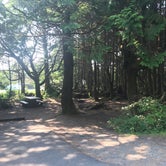 Review photo of Kalaloch Campground - group — Olympic National Park by Stephanie Z., April 26, 2019