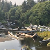 Review photo of Kalaloch Campground - group — Olympic National Park by Stephanie Z., April 26, 2019