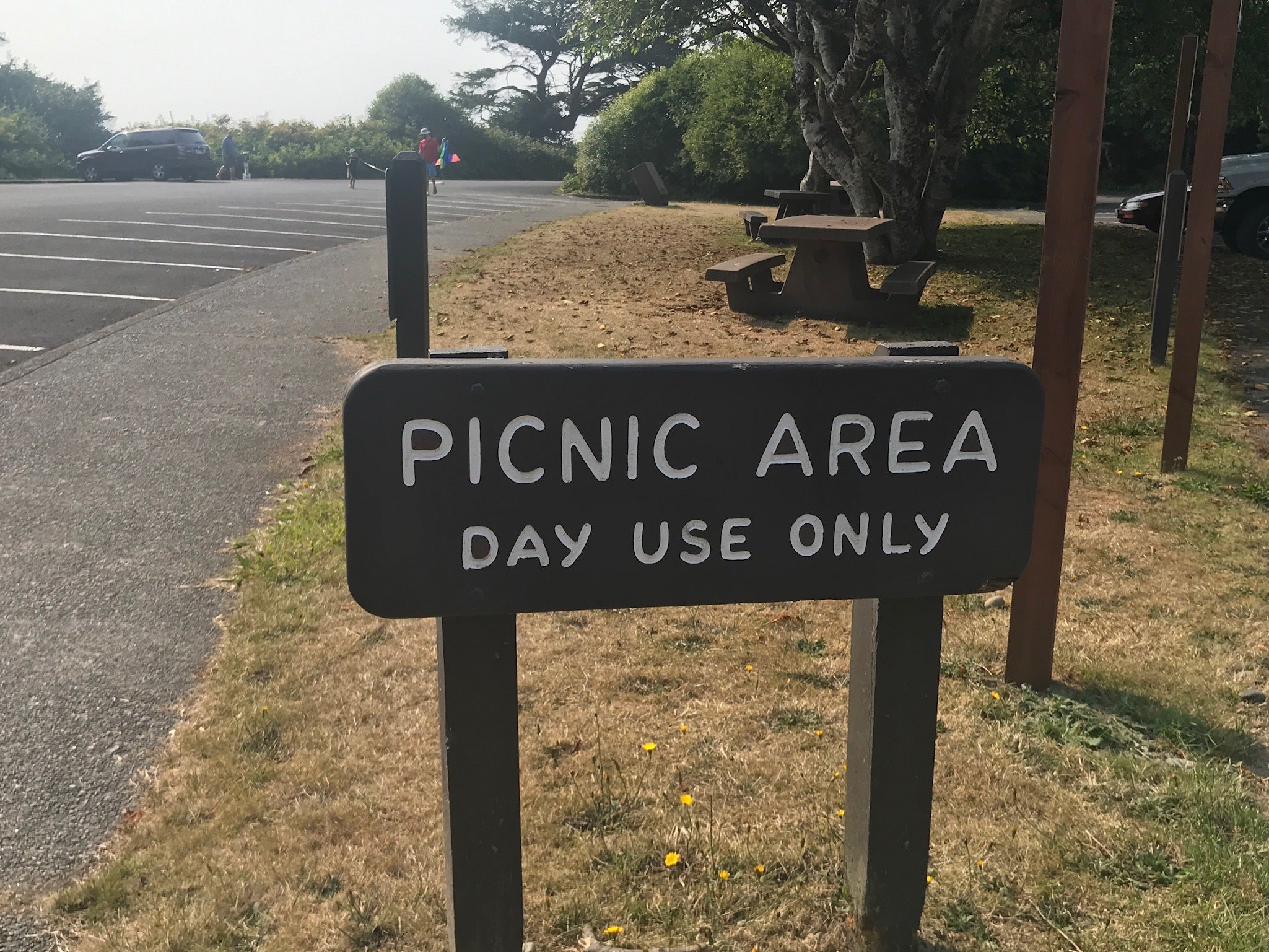 Picnic area if you're just passing through and want to enjoy Kalaloch