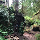 Review photo of Sol Duc Hot Springs Resort Campground — Olympic National Park by Stephanie Z., April 26, 2019