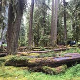 Review photo of Sol Duc Hot Springs Resort Campground — Olympic National Park by Stephanie Z., April 26, 2019