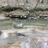 Review photo of Sipsey Wilderness Backcountry Site (Trail 203 Site C) by Asher K., April 26, 2019