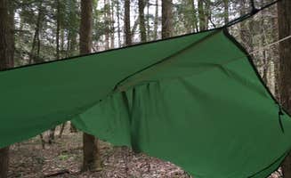 Asher K.'s photo of tent camping at Sipsey Wilderness Backcountry Site (Trail 203 Site C) near Addison, AL