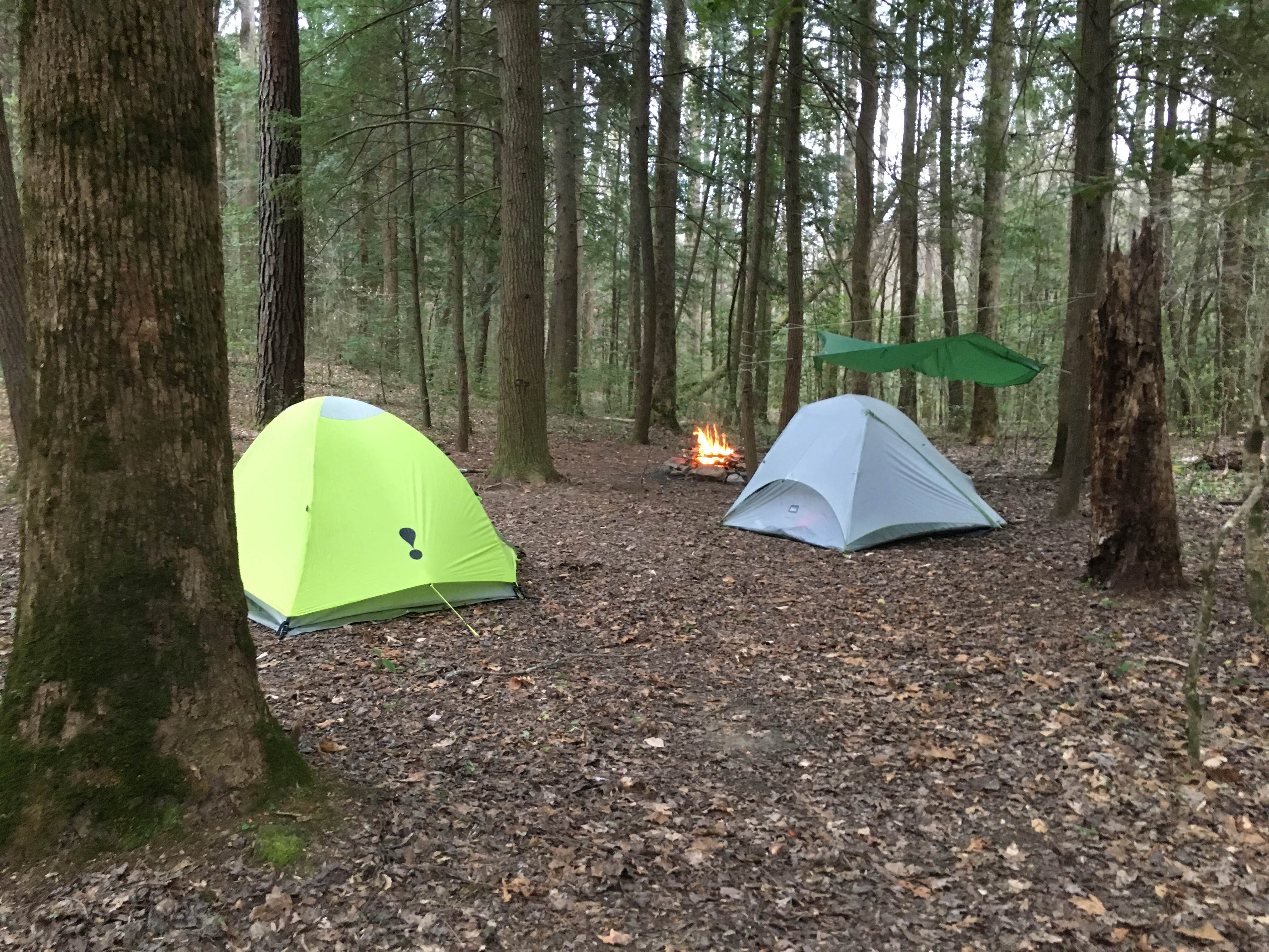 Asher K.'s photo at Sipsey Wilderness Backcountry Site (Trail 203 Site C) near Arley, AL