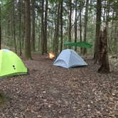 Review photo of Sipsey Wilderness Backcountry Site (Trail 203 Site C) by Asher K., April 26, 2019