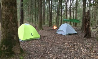 Asher K.'s photo at Sipsey Wilderness Backcountry Site (Trail 203 Site C) near Midway, AL