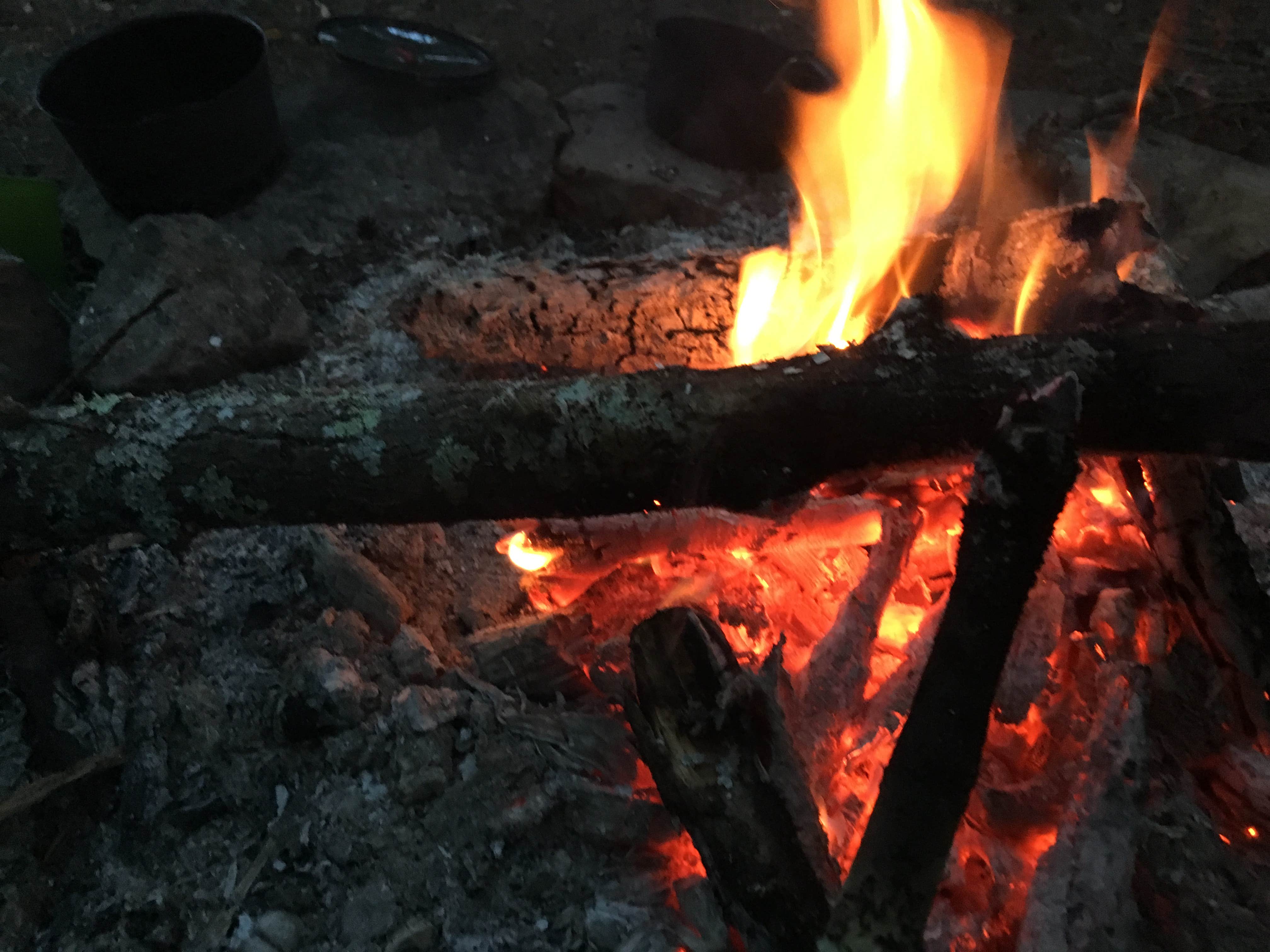 Camper-submitted photo at Sipsey Wilderness Backcountry Site (Trail 203 Site C) near Moulton, AL