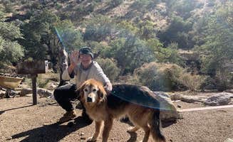 The Dyrt's photo of camping with pets at Molino Basin Campground near Catalina, AZ