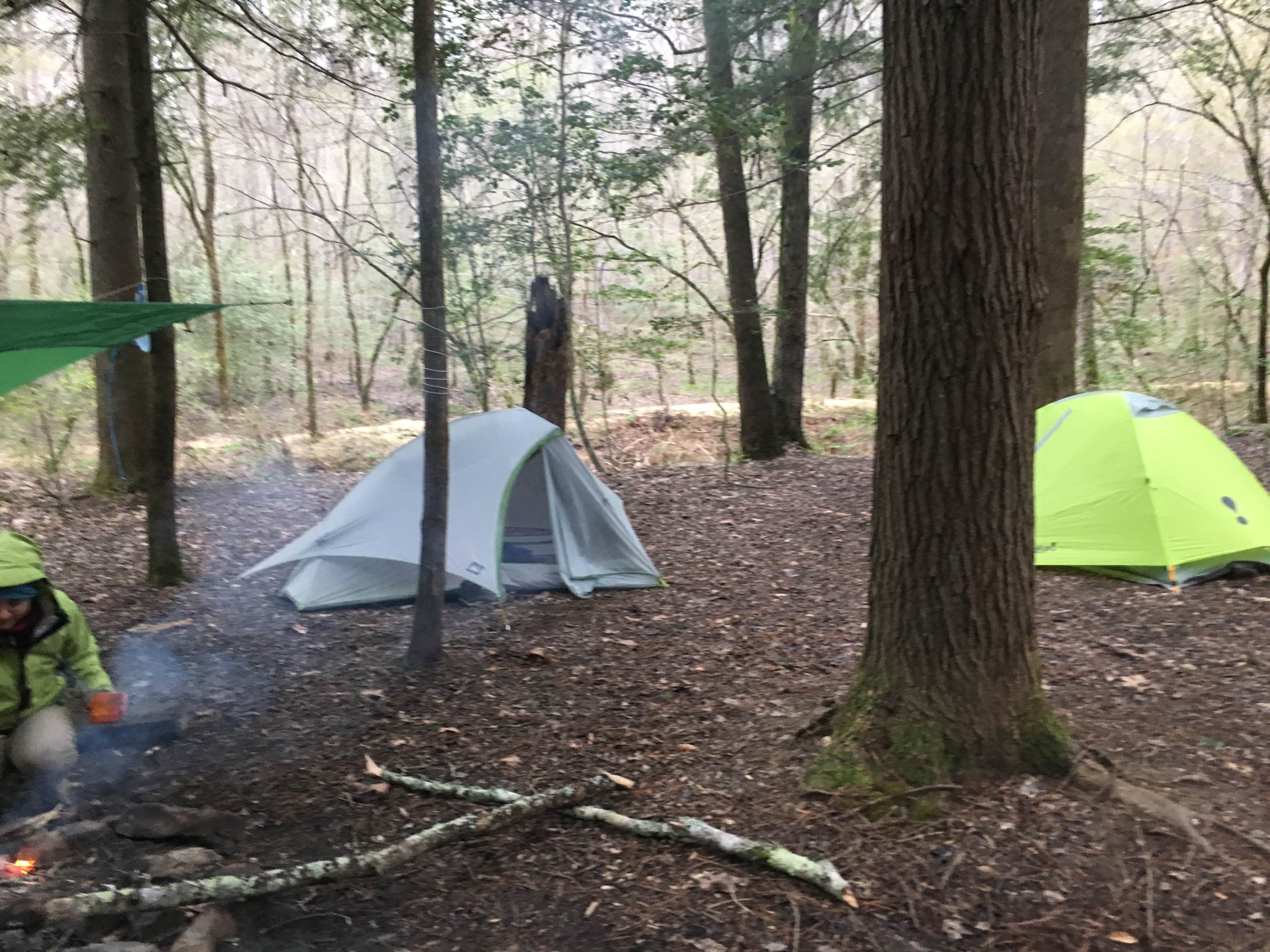 Camper-submitted photo at Sipsey Wilderness Backcountry Site (Trail 203 Site C) near Warrior, AL