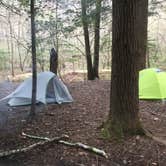 Review photo of Sipsey Wilderness Backcountry Site (Trail 203 Site C) by Asher K., April 26, 2019