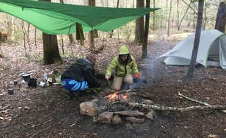Asher K.'s photo of tent camping at Sipsey Wilderness Backcountry Site (Trail 203 Site C) near Addison, AL