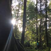 Review photo of Beverly Beach State Park Campground by Jessica B., August 27, 2016