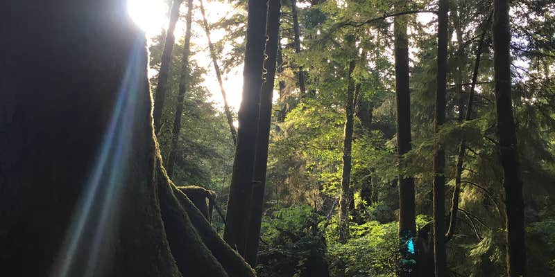 Camper submitted image from Beverly Beach State Park Campground