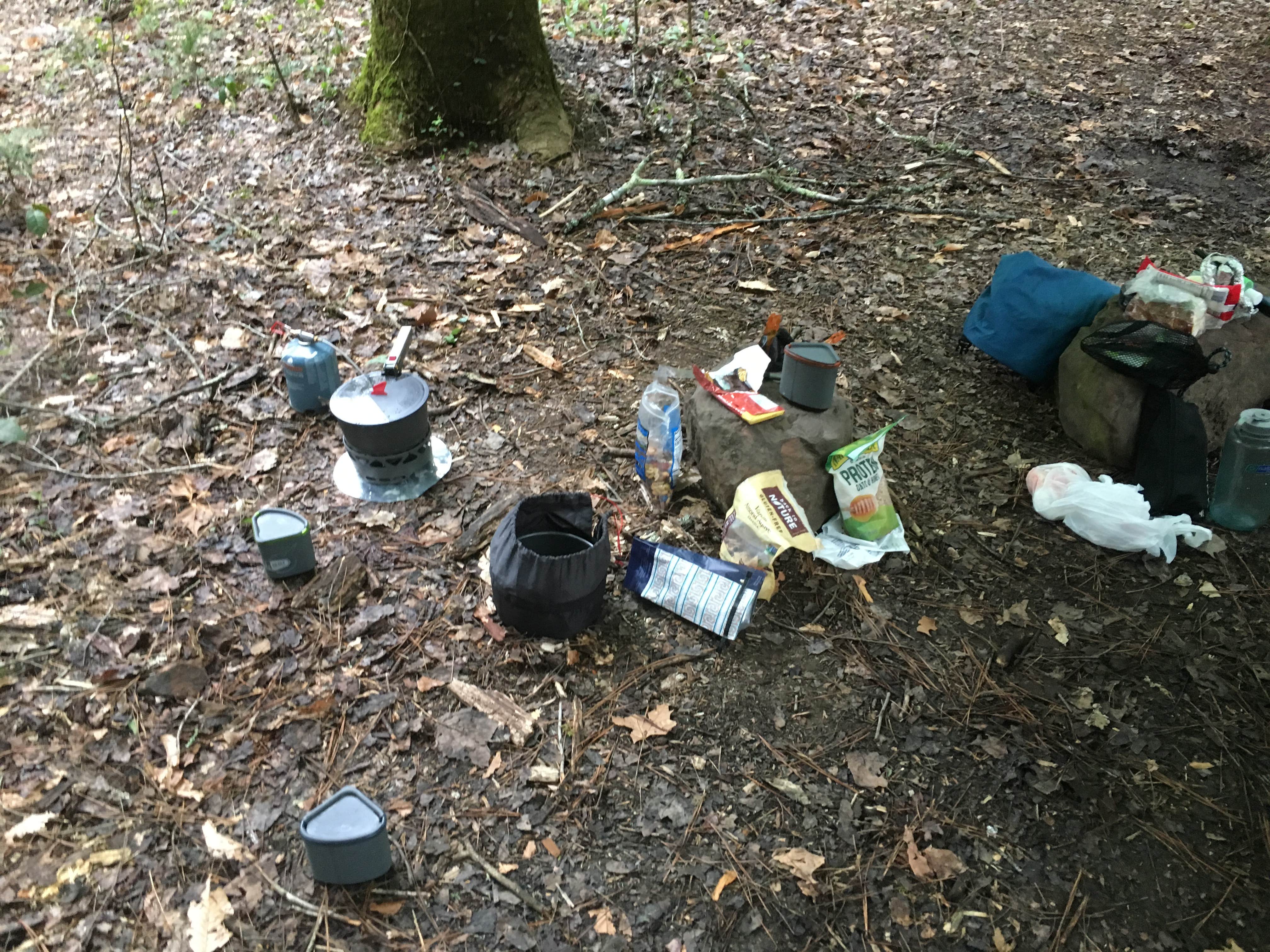 Camper-submitted photo at Sipsey Wilderness Backcountry Site (Trail 203 Site C) near Warrior, AL