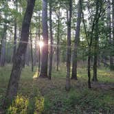 Review photo of Ratcliff Lake Recreation Area by Missy S., April 26, 2019