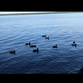 Review photo of Lake Gogebic State Park Campground by Stacia R., April 26, 2019
