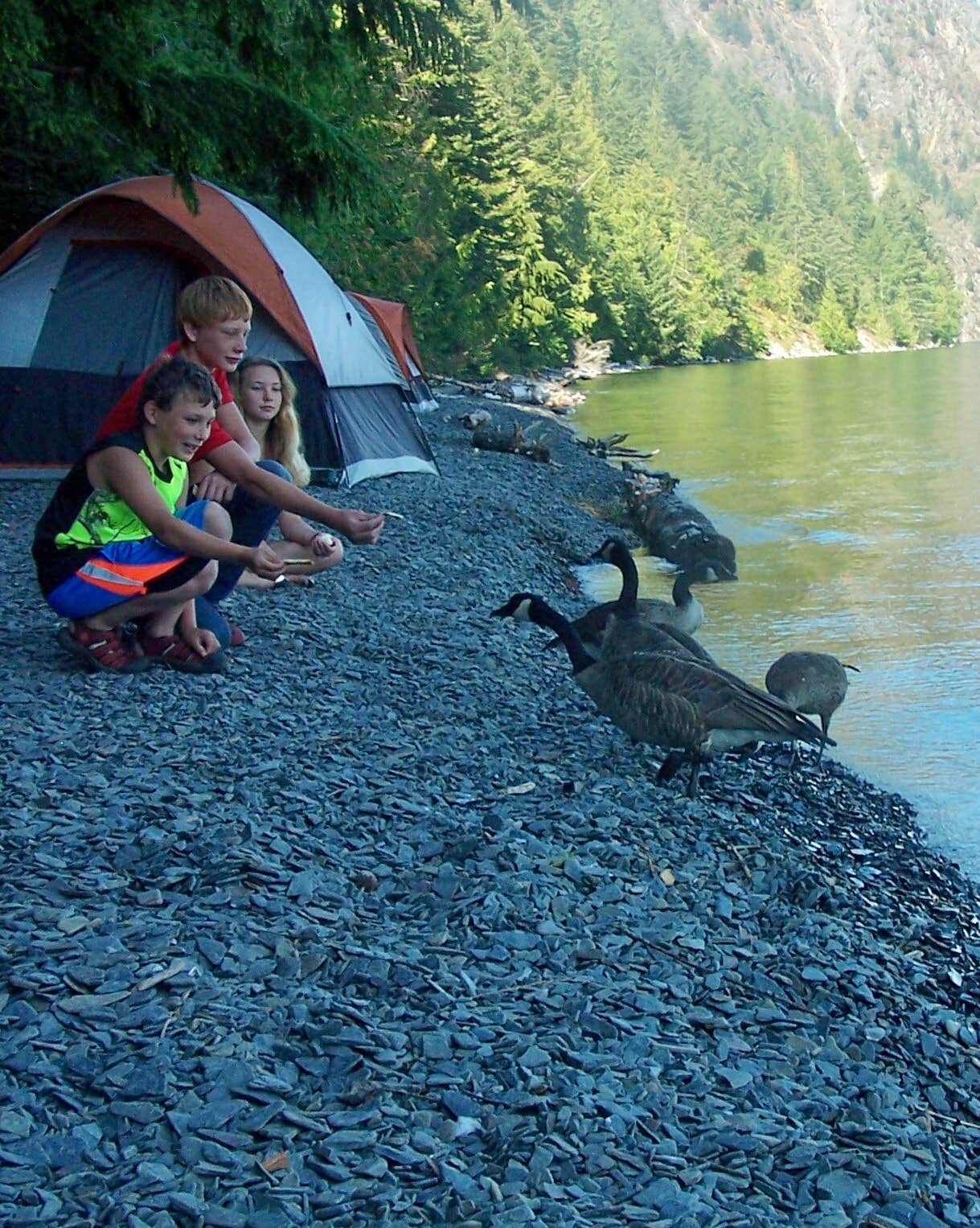 Camper submitted image from Whiskey Rock Bay Campground - 5