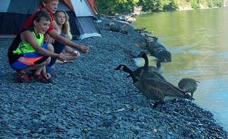 Jade F.'s photo at Whiskey Rock Bay Campground near Idaho Panhandle National Forests