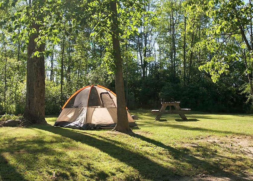 Cherry Hill Campground Camping | The Dyrt