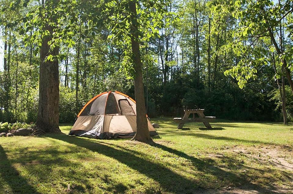 Escape To The Enchanted Forest: Your Guide To Cherry Hill Campground, NY