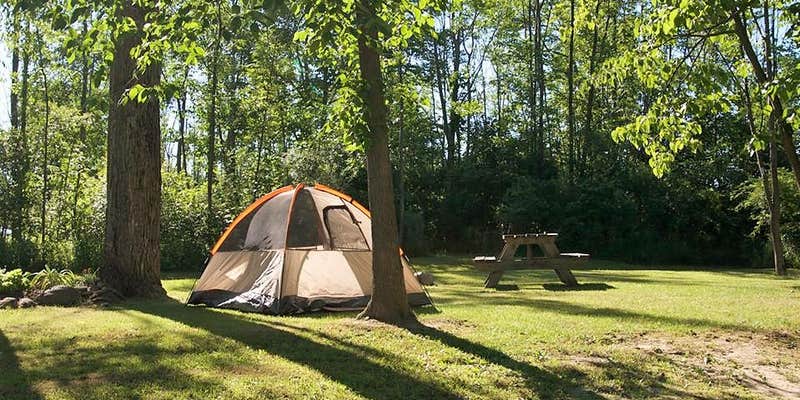 Camper submitted image from Cherry Hill Campground
