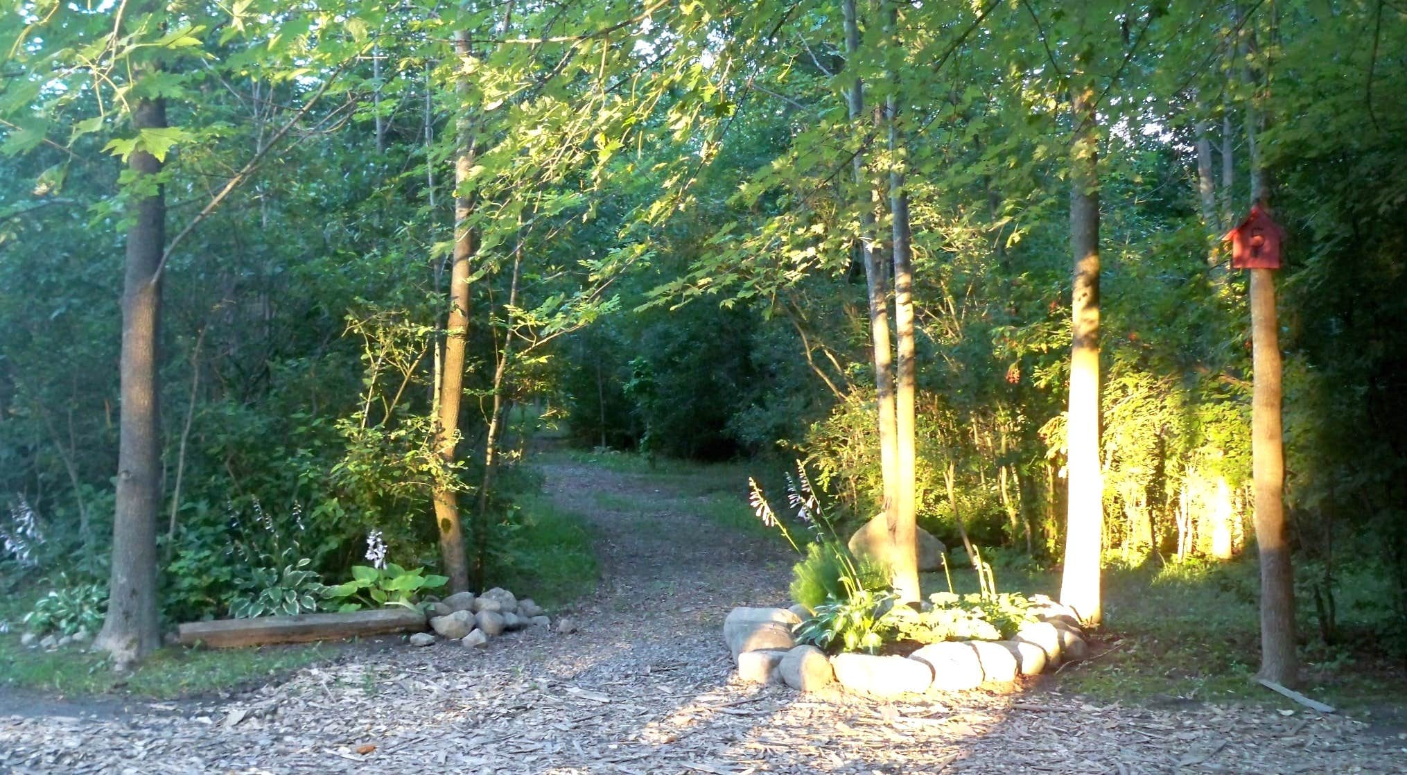 Camper-submitted photo at Cherry Hill Campground near Darien Center, NY