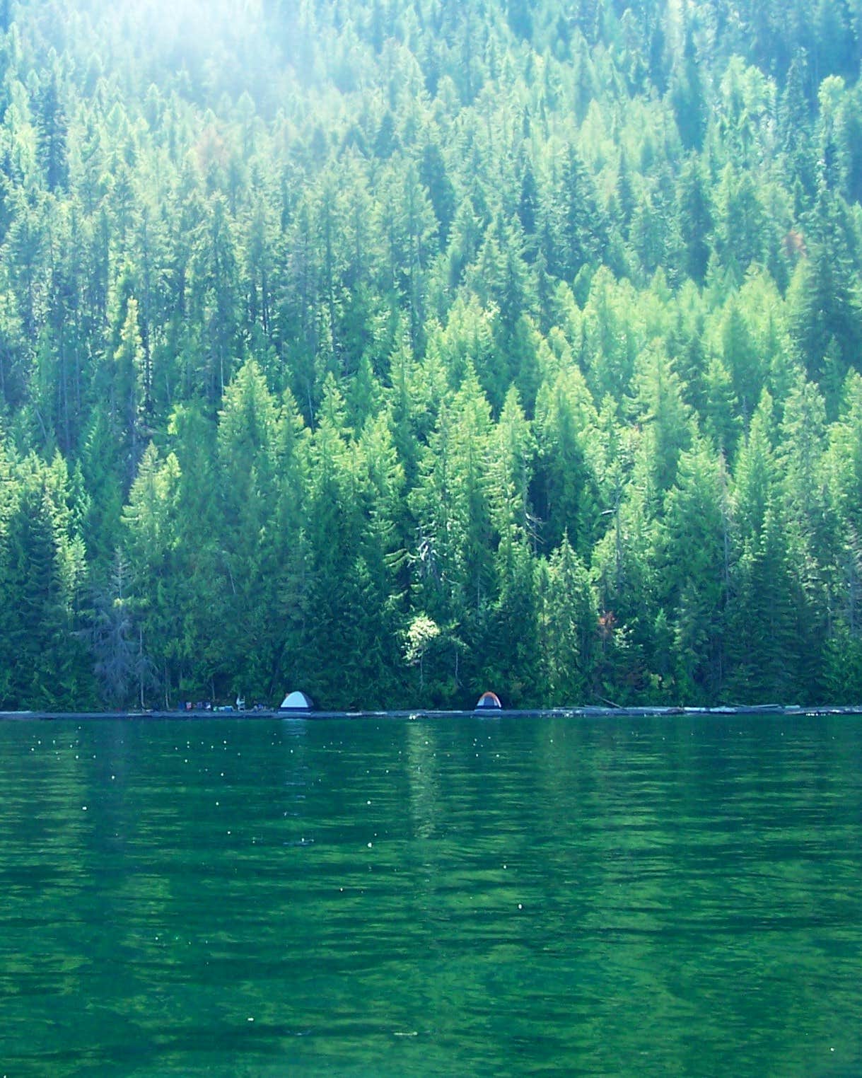 Whiskey Rock Bay: Where Idaho’s Beauty Meets Your Inner Explorer