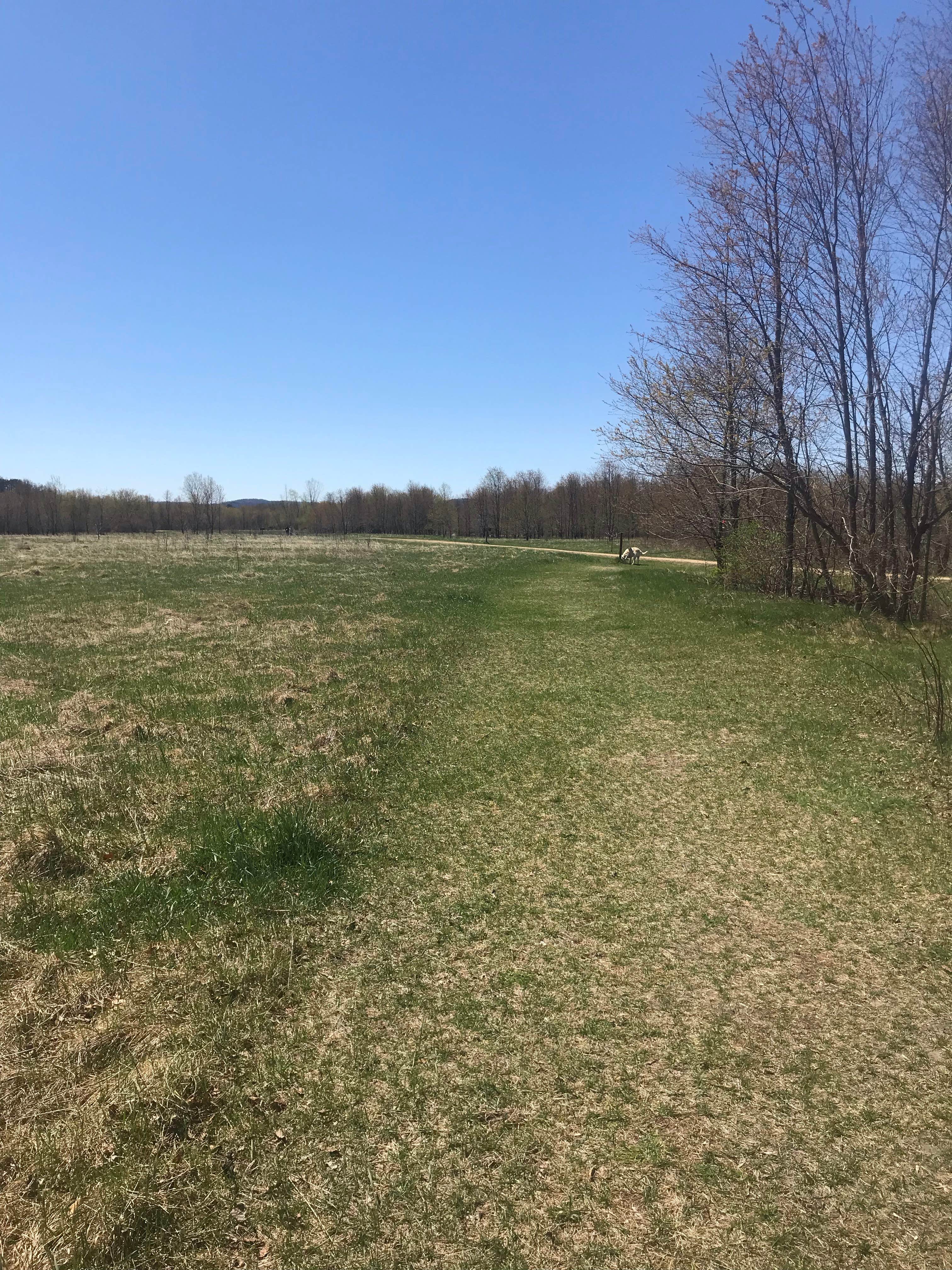 Camper-submitted photo at Veterans Memorial Park & Campground near La Crosse, WI