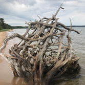 Review photo of Marquette Tourist Park Campground by Stacia R., April 26, 2019