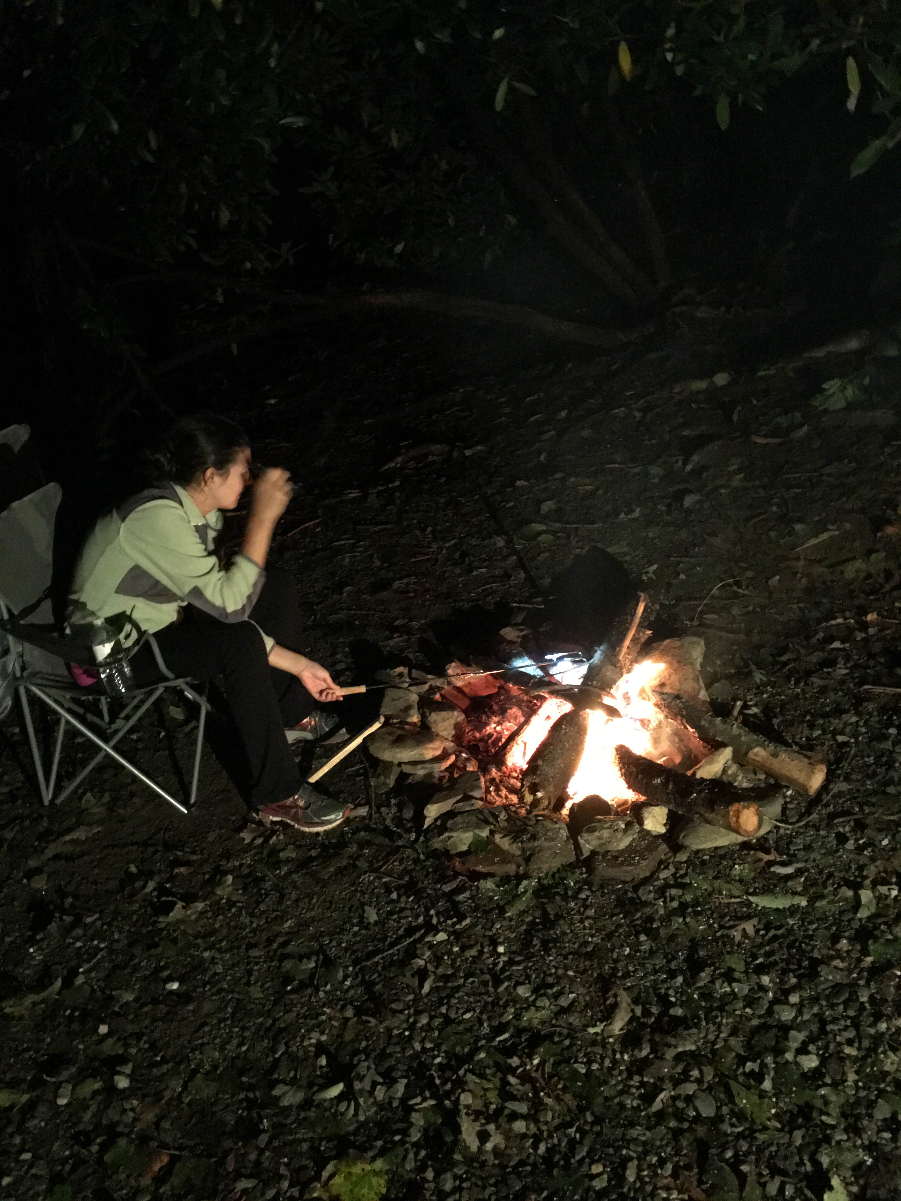 Camper submitted image from Linville Falls Campground — Blue Ridge Parkway - 2