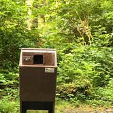 Review photo of Mora Campground — Olympic National Park by Stephanie Z., April 26, 2019