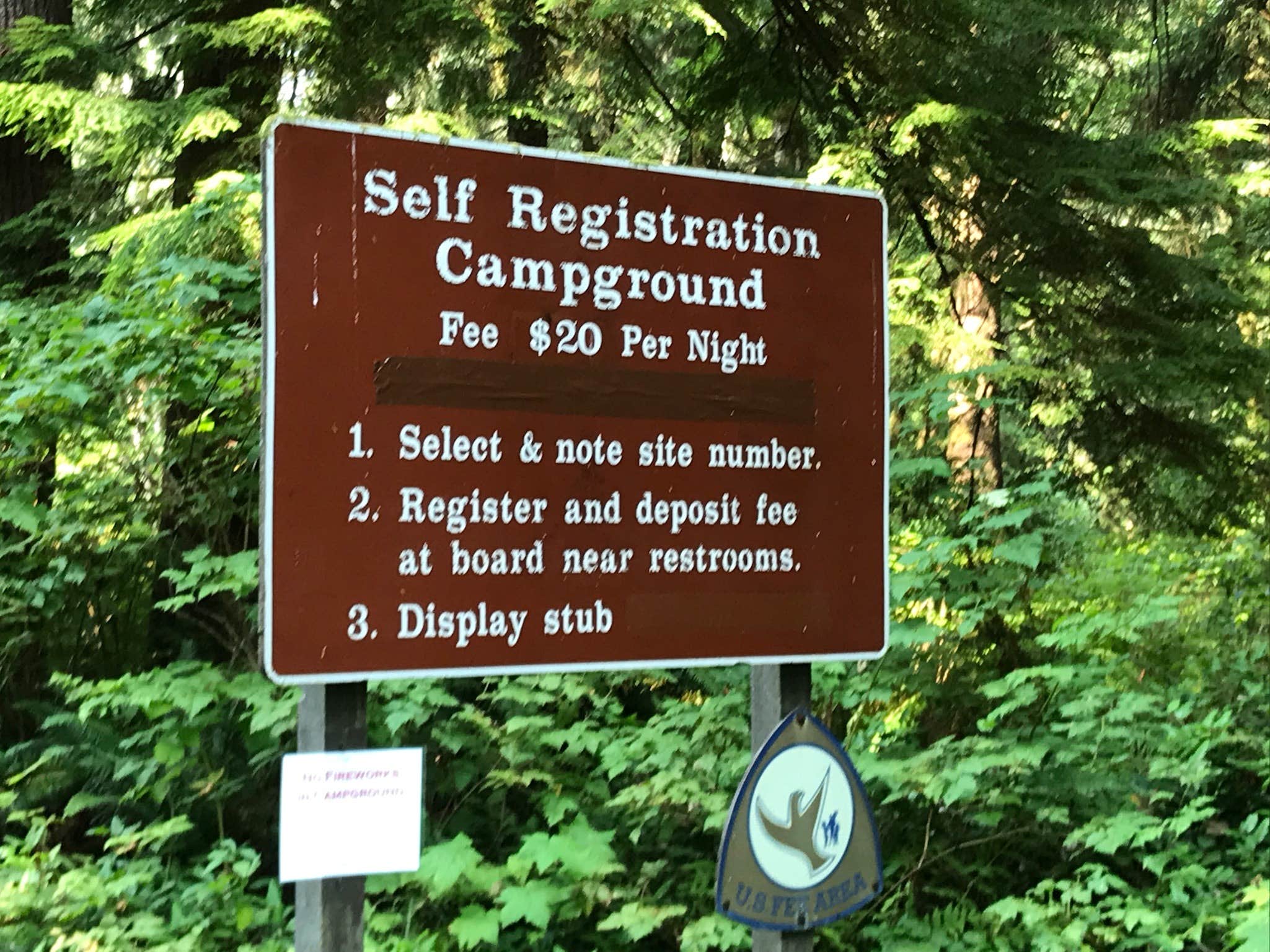 Camper submitted image from Mora Campground — Olympic National Park - 5