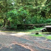 Review photo of Mora Campground — Olympic National Park by Stephanie Z., April 26, 2019