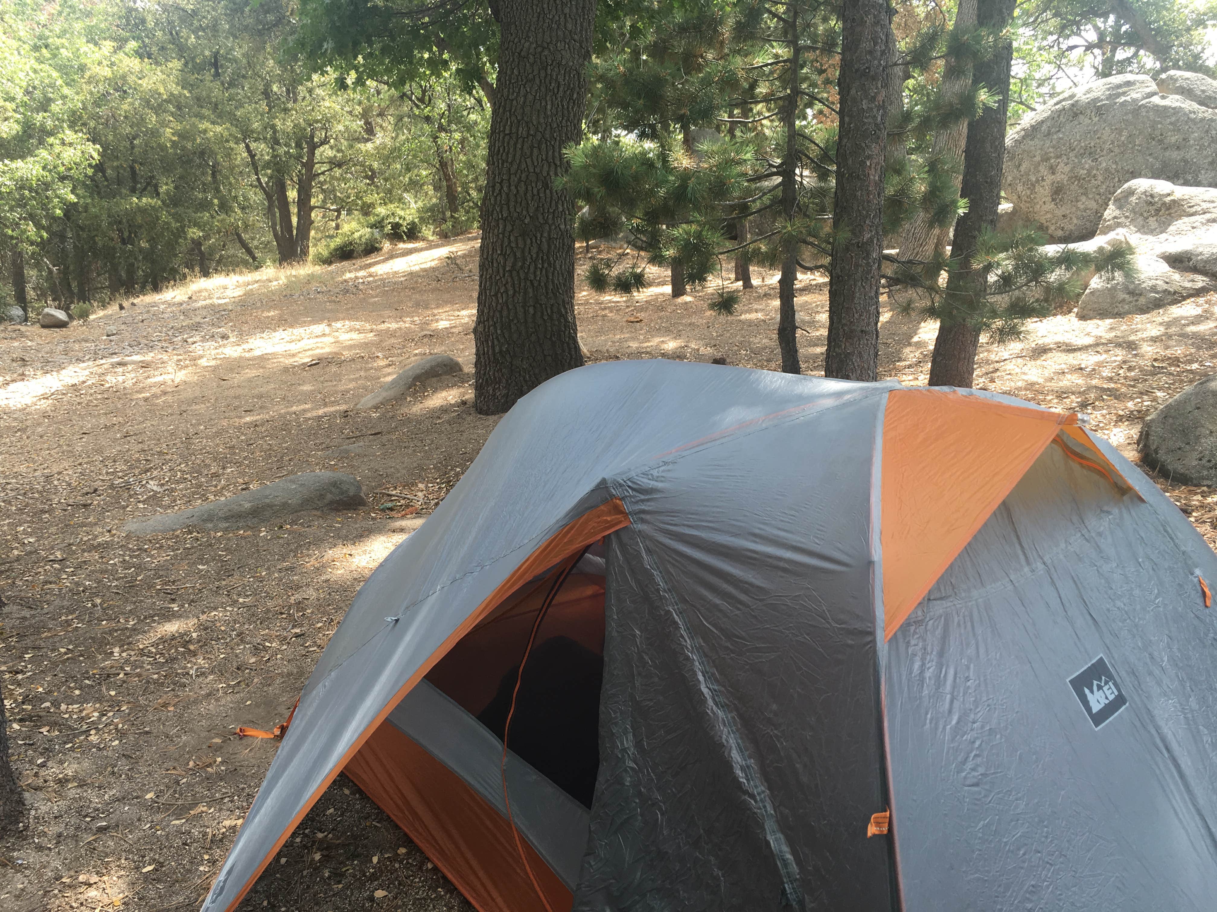 Camper submitted image from Idyllwild Campground — Mount San Jacinto State Park - 4